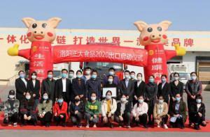 洛阳开云官方在线入口出口香港产品顺利通关！