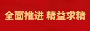 履践致远向未来 | 洛阳开云官方在线入口精英特训营“磐石计划”精益生产项目召开复盘追踪会
